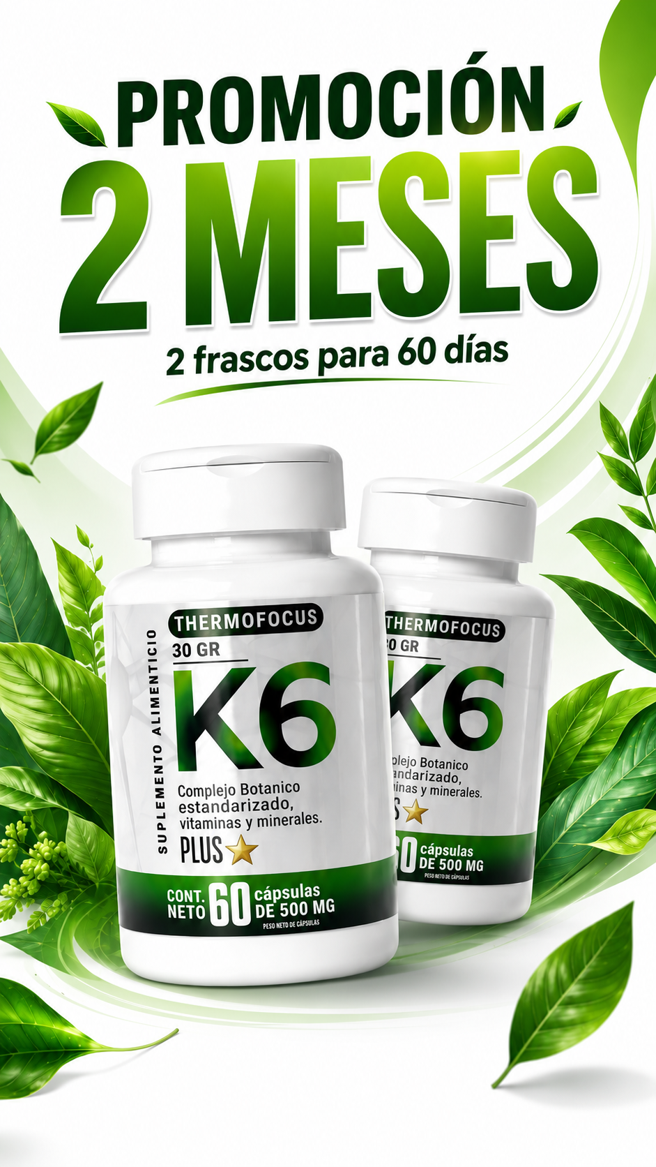 K6 THERMOFOCUS