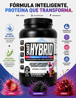 SMART HYBRID 45 SERVICIOS