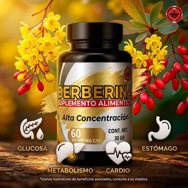 EXTRACTO DE BERBERIS ARISTATA ESTANDARIZADO